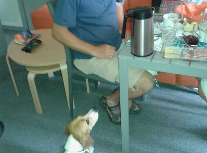 Hotel Antero De Quental